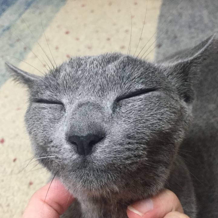 5789c9e2 88fe 45b1 b271 cfd65343d23c 1538521882082