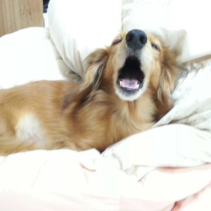 5789fa06 0bc9 4080 9c42 824ae8988932 1553609809751