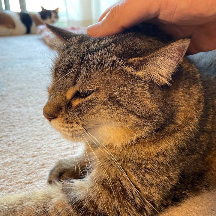 578a13f0 6e54 4e1c 8ee7 146c073ed531 1751496722997