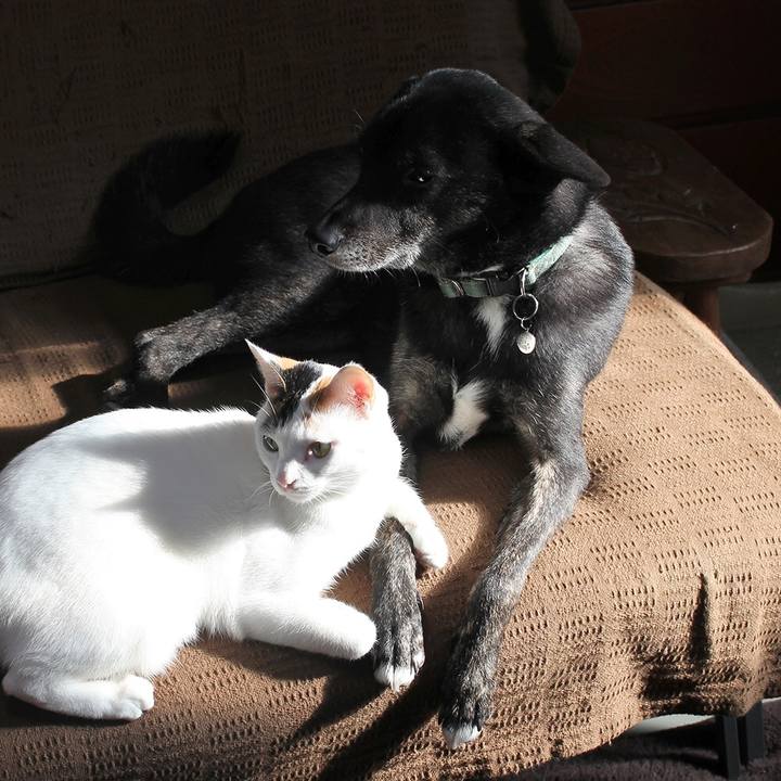 578a2475 6c59 4ad1 89cd a8b27b4f5a8b 1610177821965