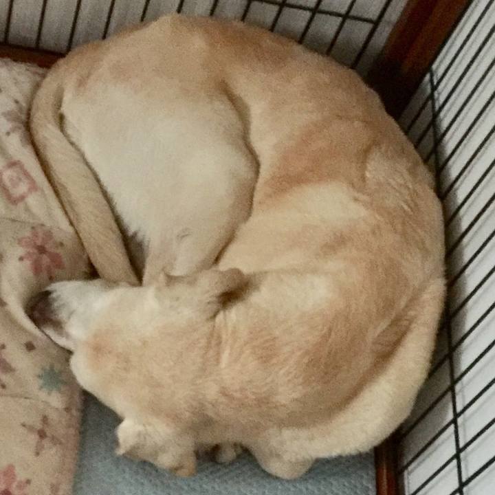 578a29dd 9104 4e47 b22a f018bdace0e3 1570357292489