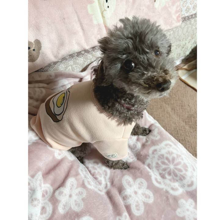 578a5020 4fbf 48ac a632 3784189f9f4d 1699826738430