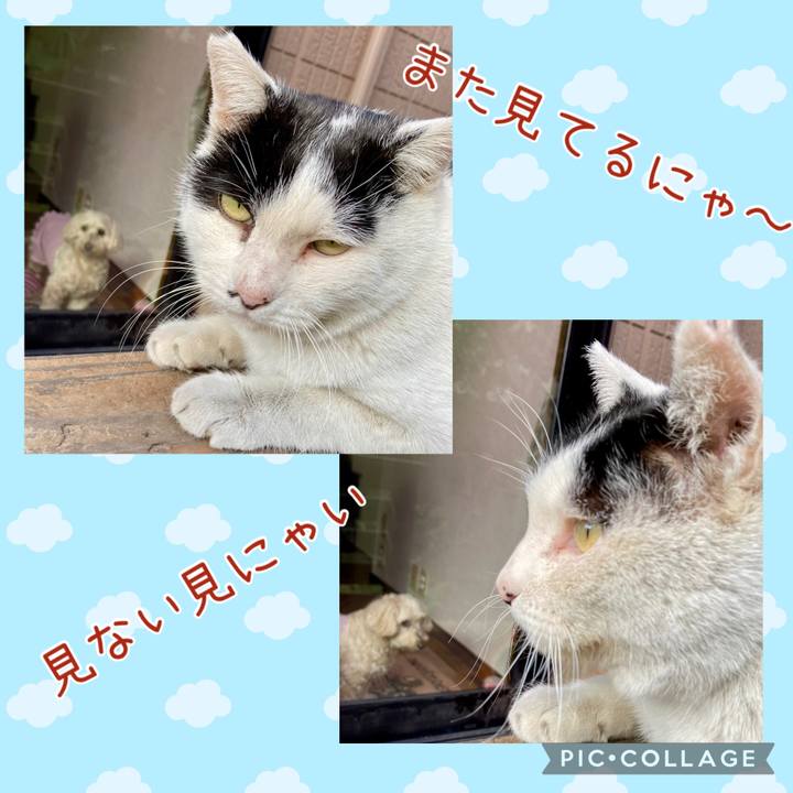 578a685f 4919 4a76 9c3d dd228b50160d 1770454853893