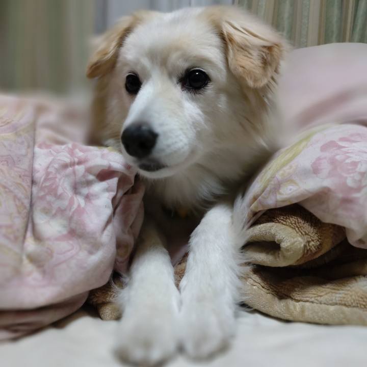 578a9437 85ae 4bf5 9321 a49d83094a66 1652265520642