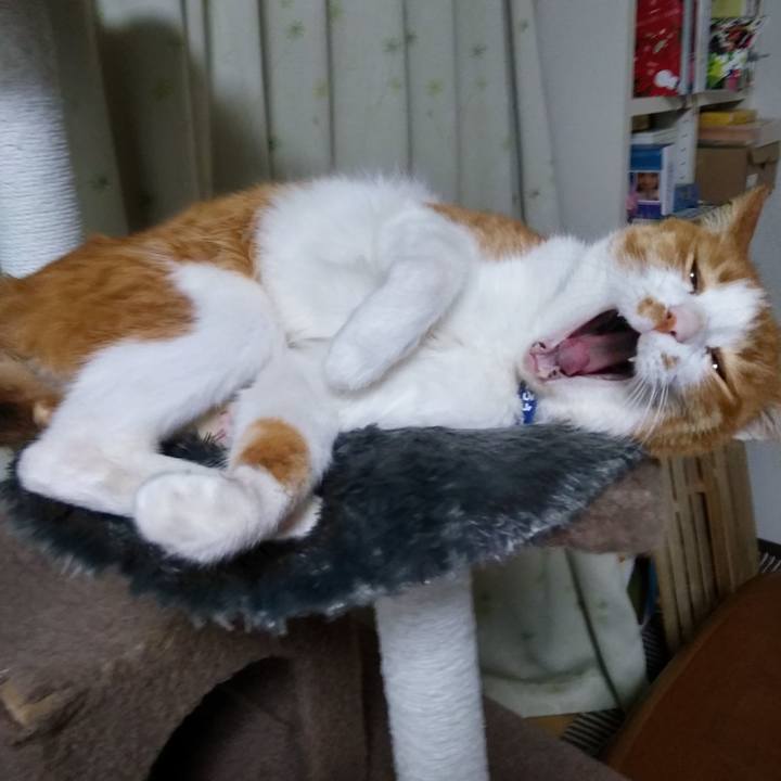 578ac7d7 b57b 42fe a0f4 e351bbd8185d 1549165226601