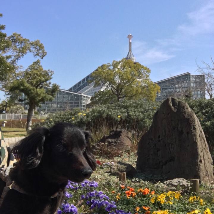 578b0367 701c 41de 90d1 af1ecd3926f2 1552100692108