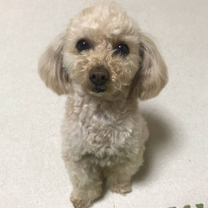 578b1394 394e 44ef a7c5 e9a57b28dd4c 1591368070741