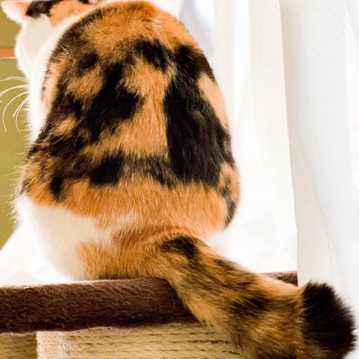 578b17d5 b1d6 4057 81a9 341f429d8cb0 1546220499191