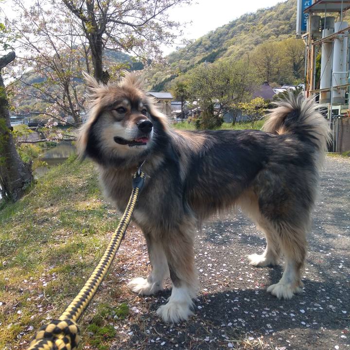 578b5028 2615 4353 aac0 f8373491e628 1587003953354