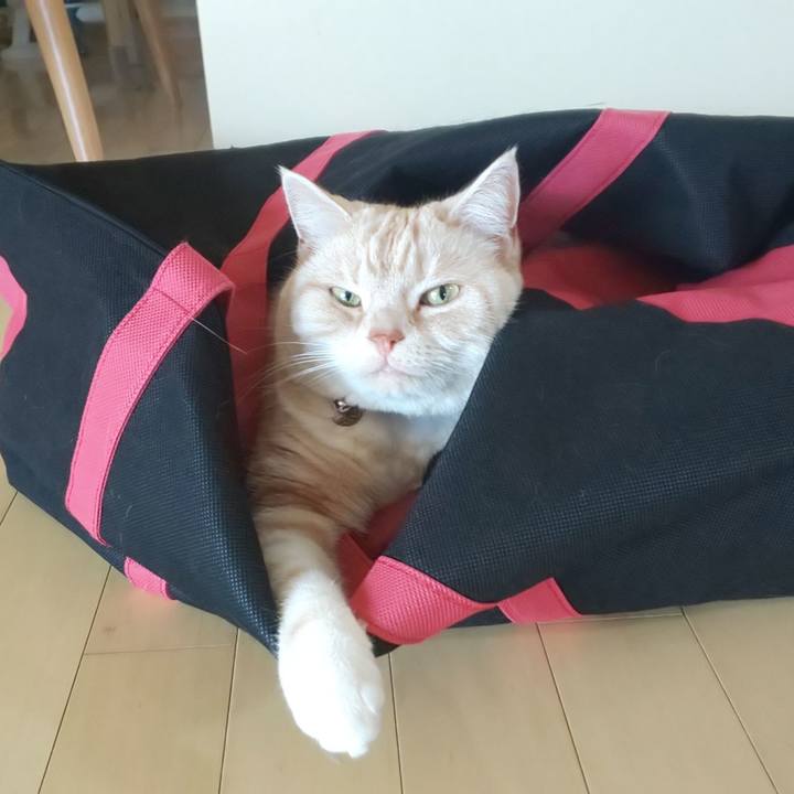 578b5ac7 fc8f 43c0 8e3e 04fc84c031da 1547510674331