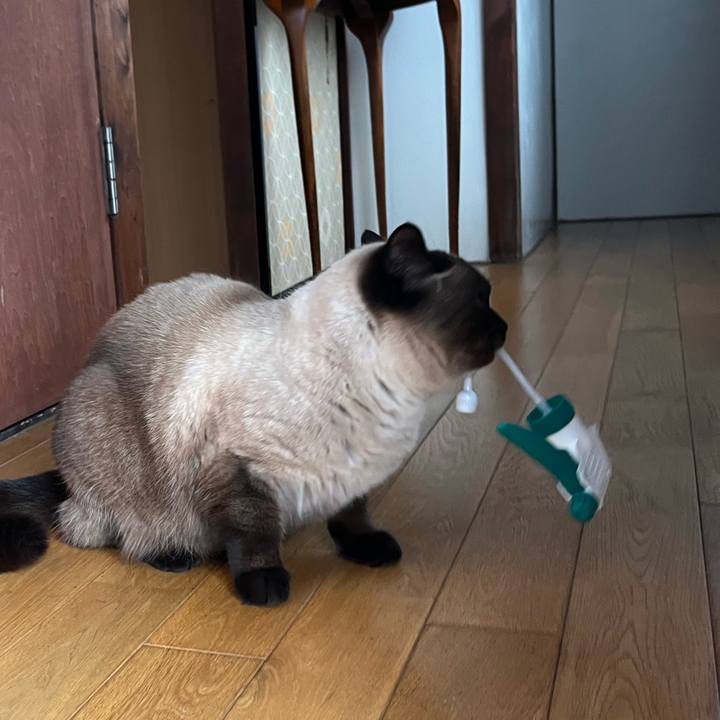 578bc46b 44b4 494d 8c26 630348983edc 1652309527021