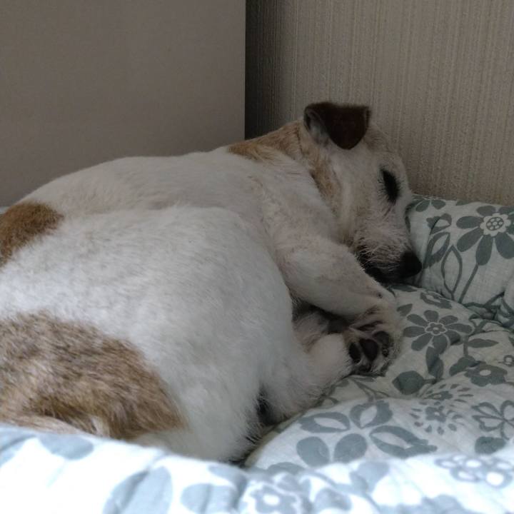 578bd703 1a19 4f65 b1dd 26b8e15e4e66 1720194468045