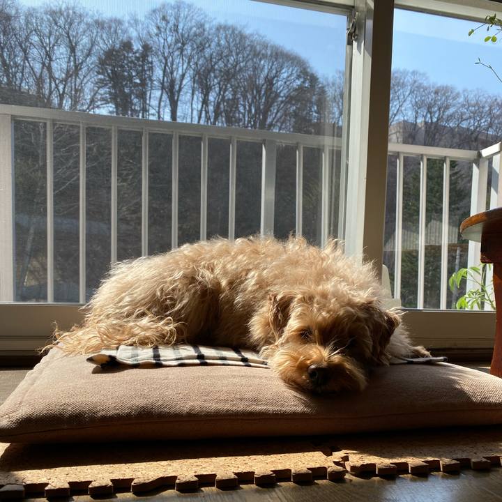 578bdfae e5fb 43d4 a4ef 1f6627e6f119 1681103890536