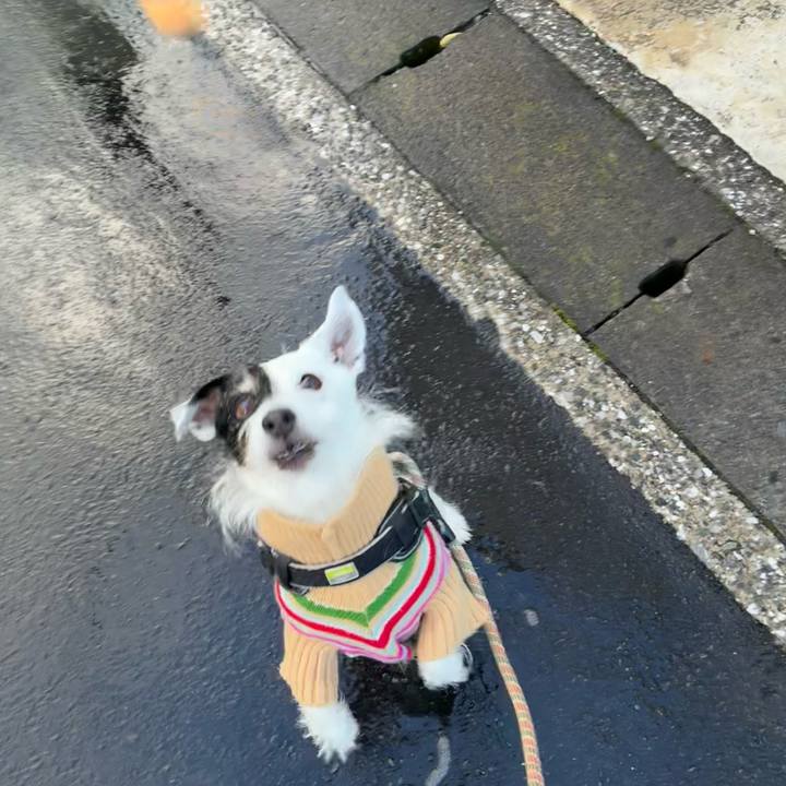 578bf597 b929 4f89 bae4 b1345f72d192 1766708136454