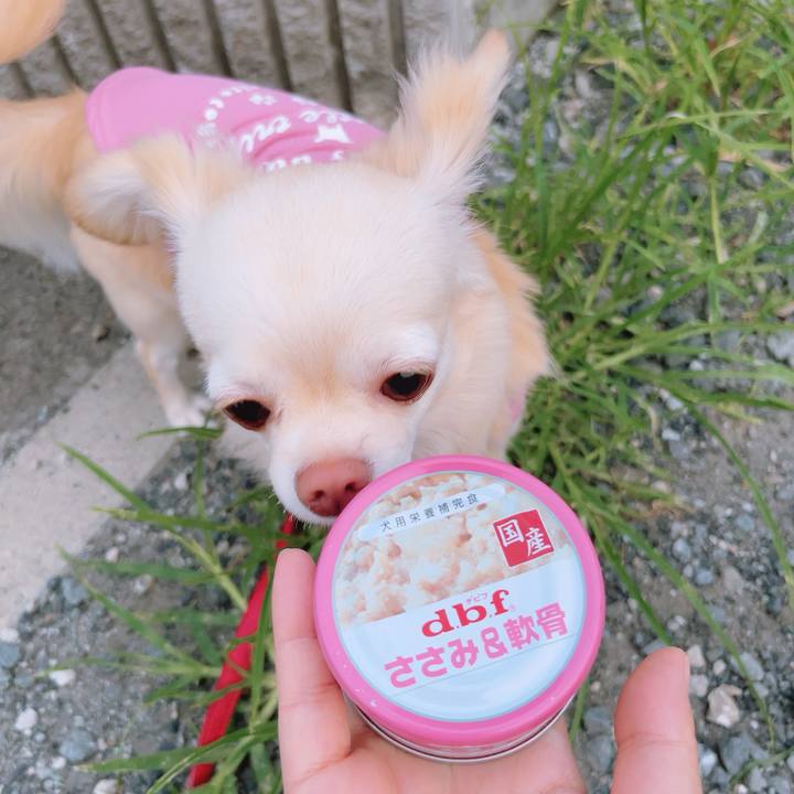 578c0eee 2d79 4f4c bad6 ac9e8f9791e8 1688637917715