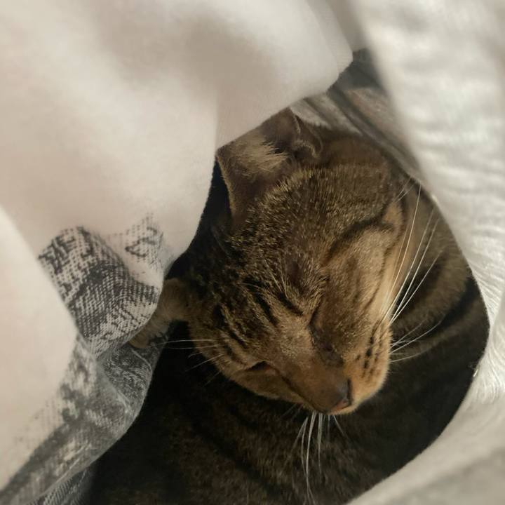 578c2831 864d 4f91 8323 4dd0c843fbe1 1766240644918