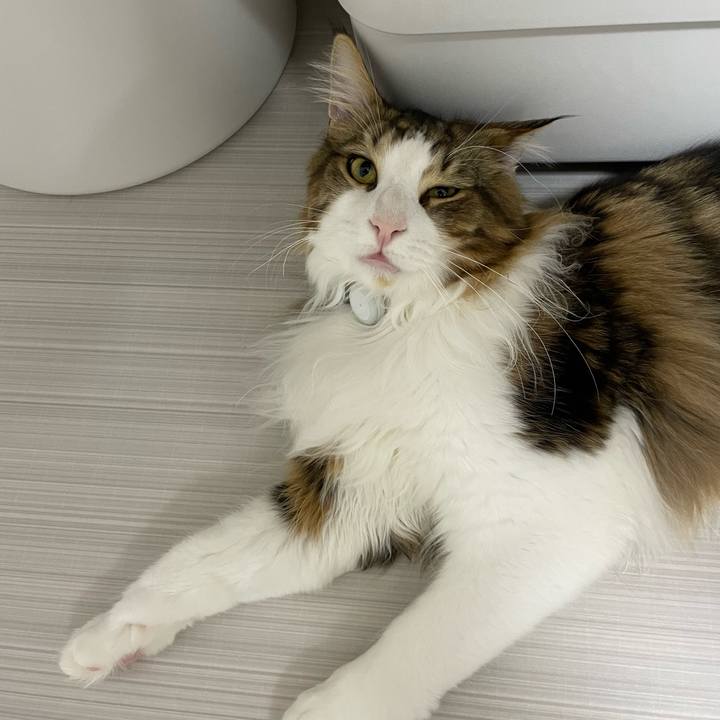 578c439e e634 4f15 b790 c4b47b2756c4 1649882113505