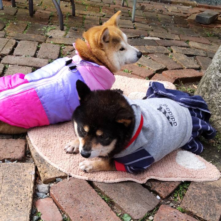 578c49f0 8fa4 408d 9a3d 71097e9f08d7 1637491323475