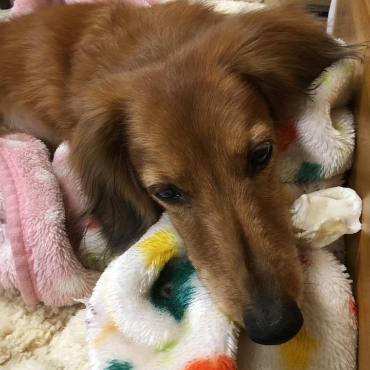 578c52a9 aada 4b61 8fee a68fe45f83fd 1552401856579