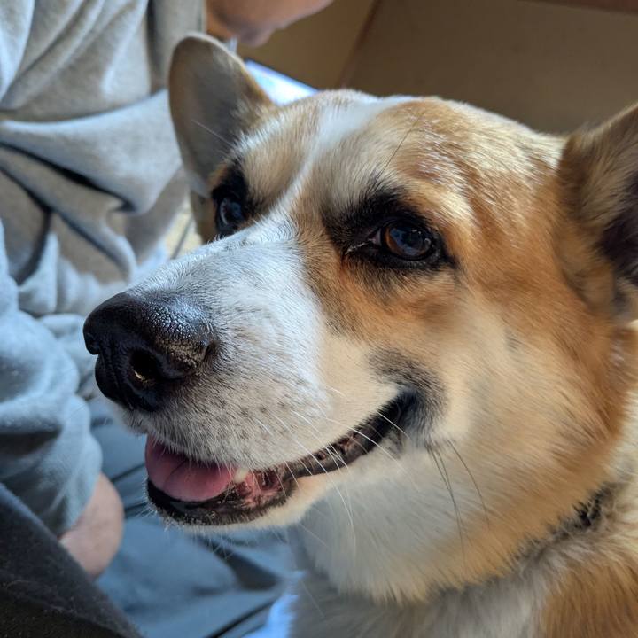 578c5f04 9727 477b b564 edc0d86cb8e9 1767071532686