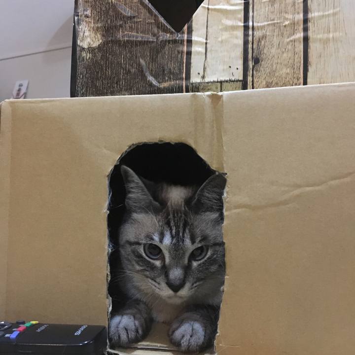 578c6bb6 ccc3 431a 9baf 1889c20529f9 1589458060078