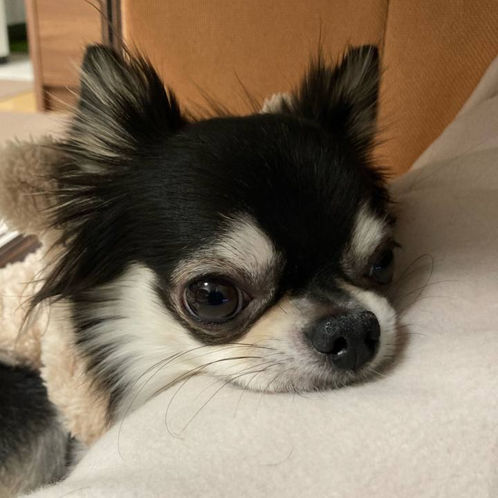 578c7bba 09a0 4d9a af45 14ee2bdb1c7e 1641302538504