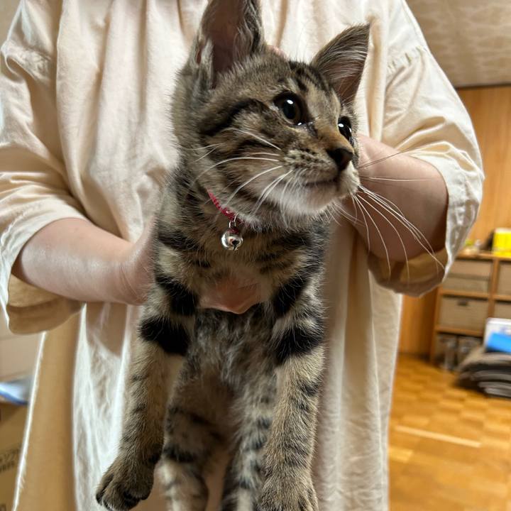 578c8f35 aa17 4f0f 8f33 5a7d3f171939 1727491453161