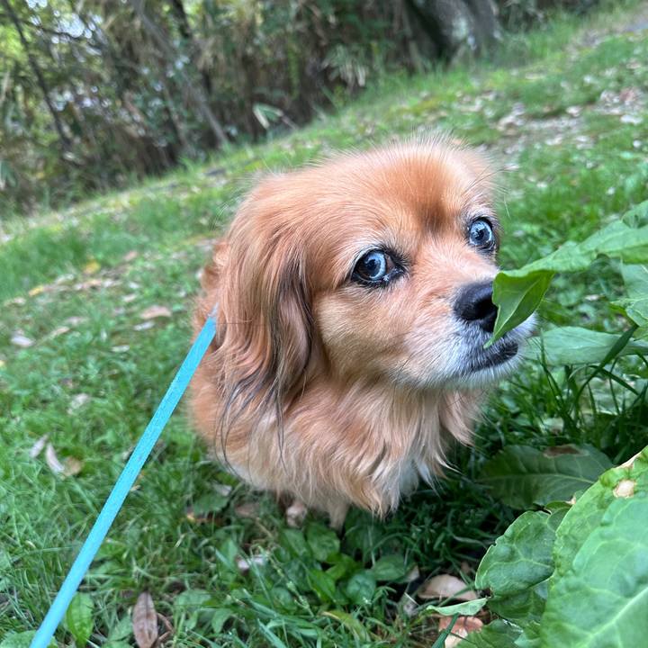 578cc655 0d17 47ff a058 7efaa69e7057 1713388090289