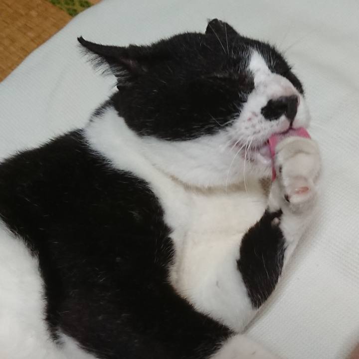 578ce2e0 1ff7 4c16 b03a 33dda2d0a937 1596234151784