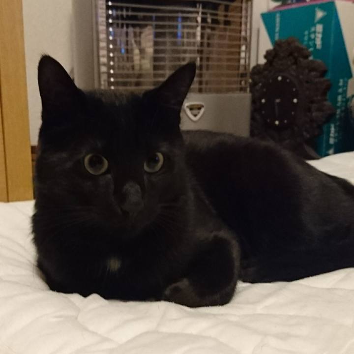 578cf939 ecad 4008 9414 0208cb80c46f 1525000399156