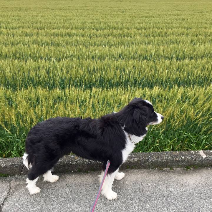 578d166d 4ded 41b3 ac4a 91b19658e75f 1556753563349