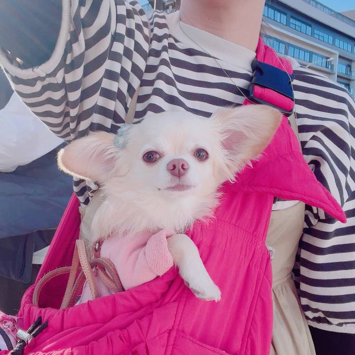 578d18f3 8131 49b1 9eb0 992dd84d6124 1700383882194