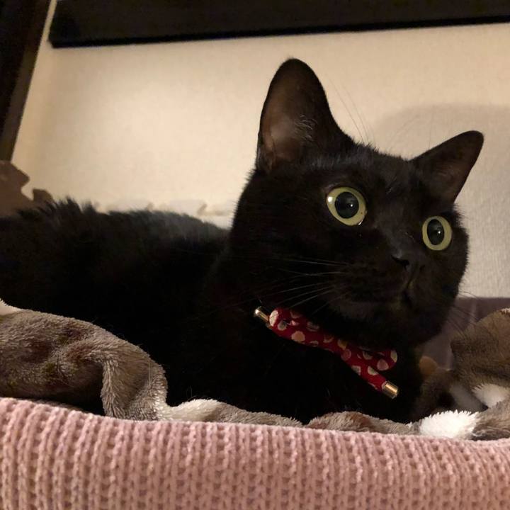 578d37b5 d491 4c4a 83f1 515211c5c9f9 1607773756081