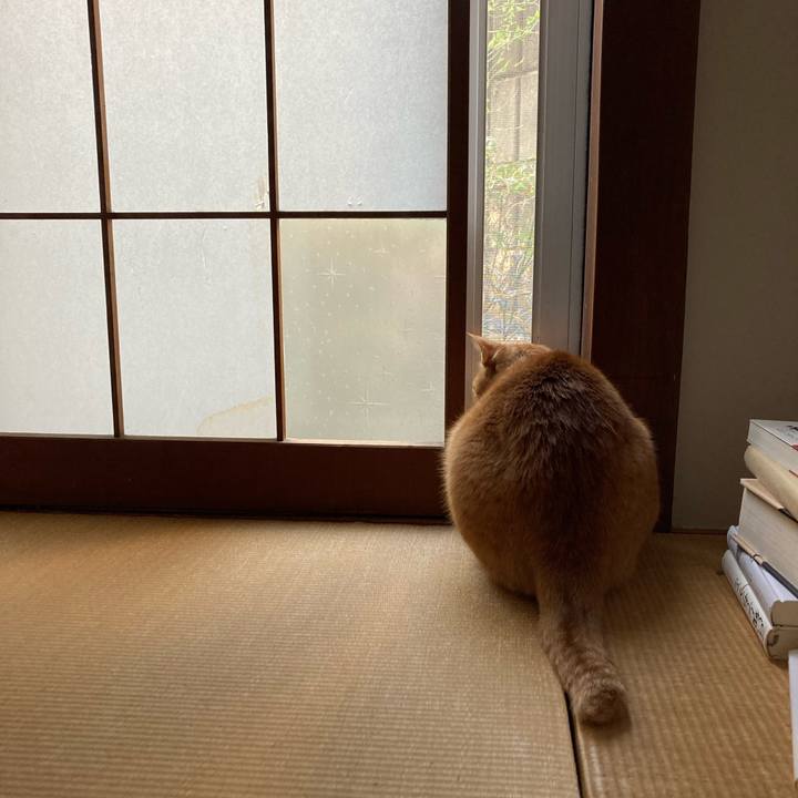 578d5769 b3dc 4835 8e07 940e4db210b7 1678403642588