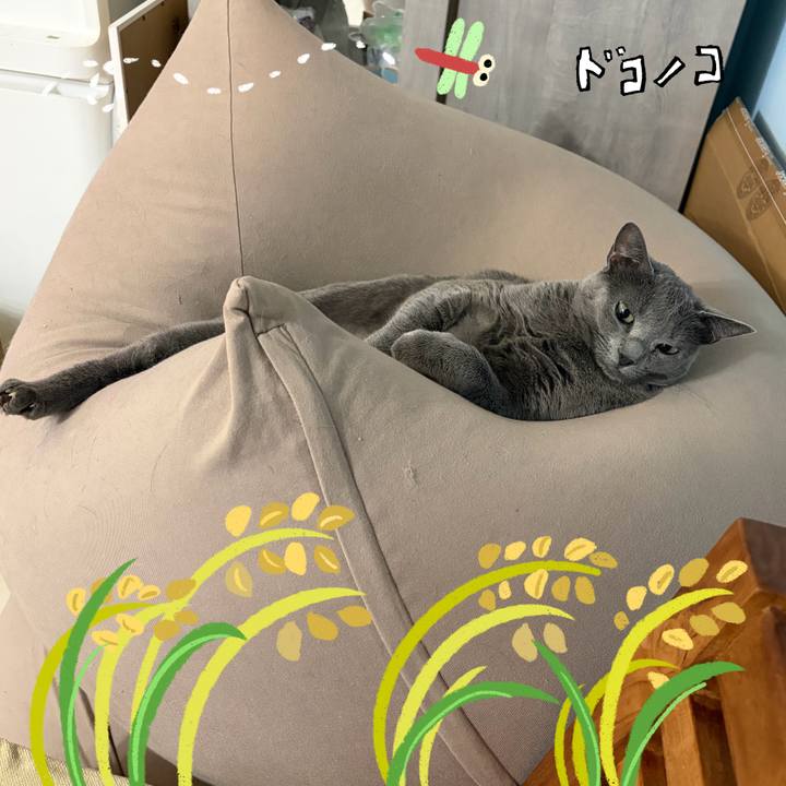 578d6bbd 9d3a 4f74 a8cb d46b1776e8ee 1761610052114