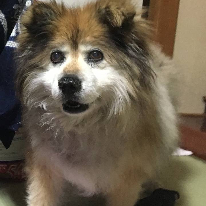 578d9d63 9f86 4526 b2bf 8b2dd2a7eb29 1586539791579