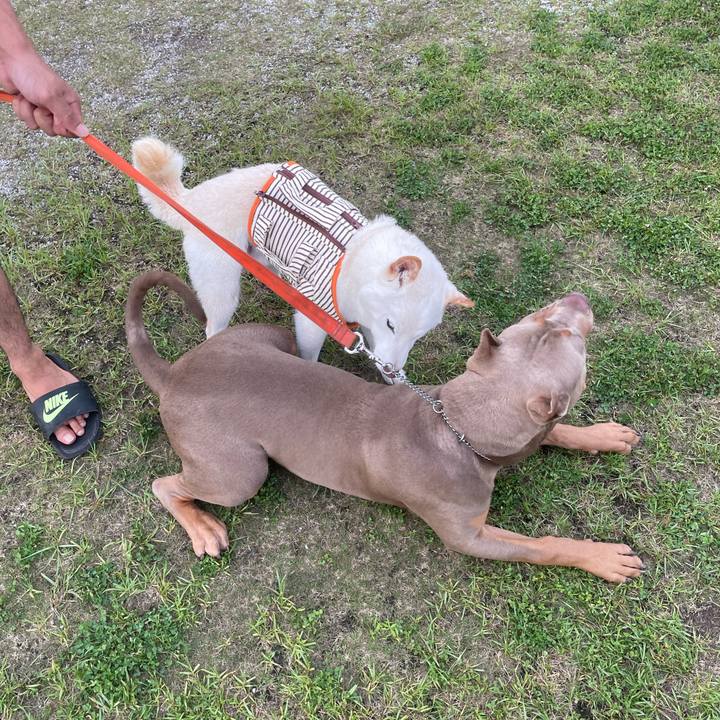 578da21f 4a52 41c2 bc9c 1c126850877a 1655472006832