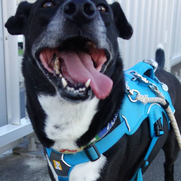 578dd18c e8fa 4ab8 b49b 0a04f65fdd4b 1686912874148