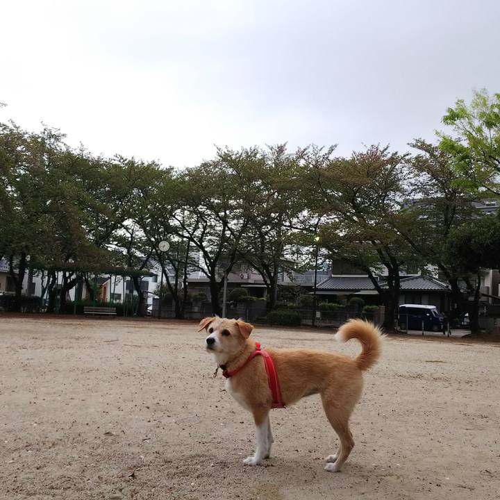 578def8e a818 429d b357 1fbb4a1afcb3 1523396796568