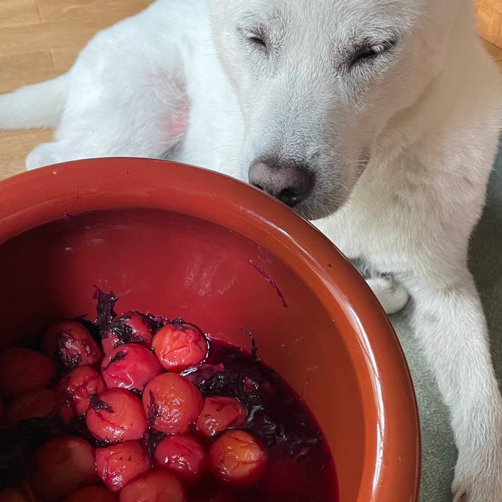 578e3645 fd28 4a72 84c7 d70b37895ace 1687474923975