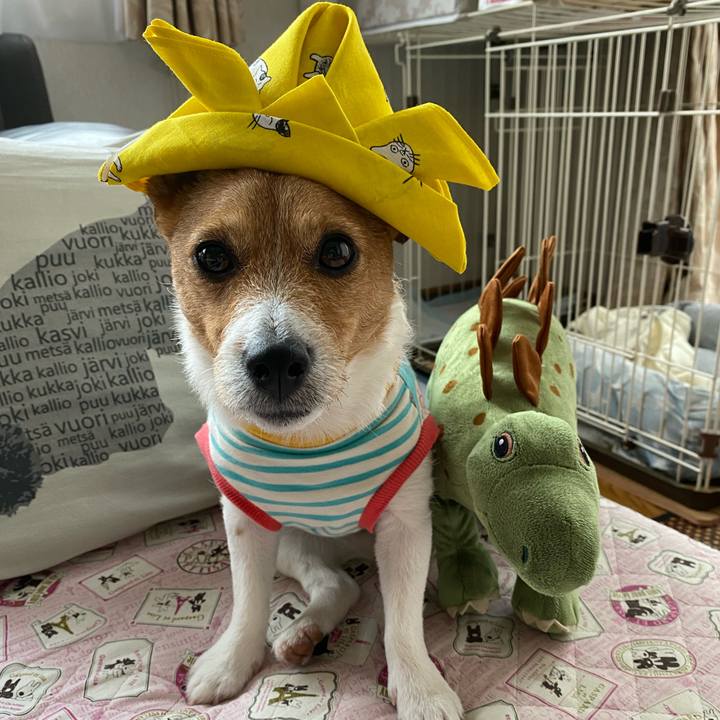 578e49a3 db19 42be 9347 a1976315e6cb 1620173394875