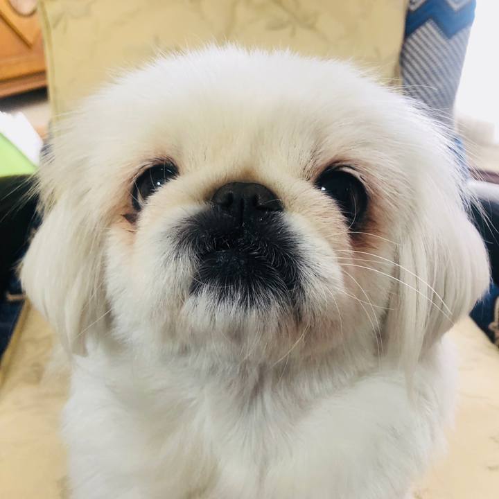 578e63c1 6a73 4494 8d96 412fc03a3551 1586664304444