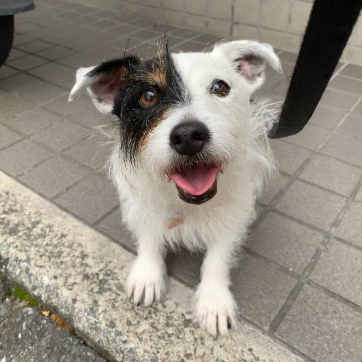 578e7926 e821 428c bf0d 1c2c2094b30f 1657096345801