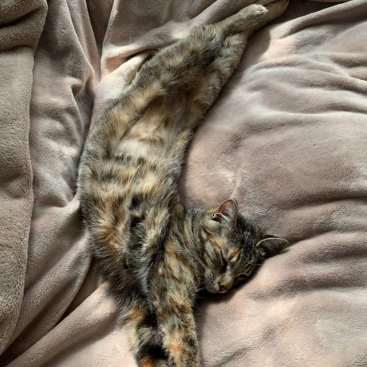 578e8576 bc2a 4763 8ec3 3db2dee2d35e 1613535582535