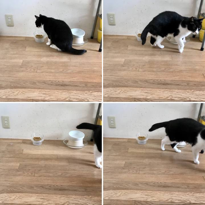 578e85db d451 412e 8195 95a68a9f72ca 1515213247429