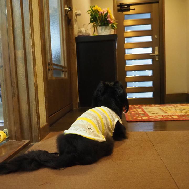 578ed9be 738b 4ab9 9edf 88e5cf5591fc 1626512192977