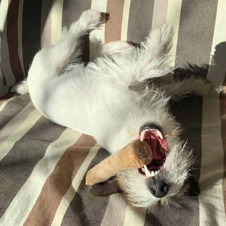 578f27ae 0804 4d8d 878e b20dc4efd600 1579478765582