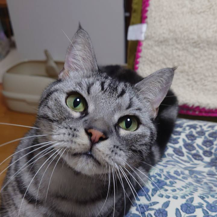 578f4be3 5467 4714 8755 4d82d81125cc 1640910893442