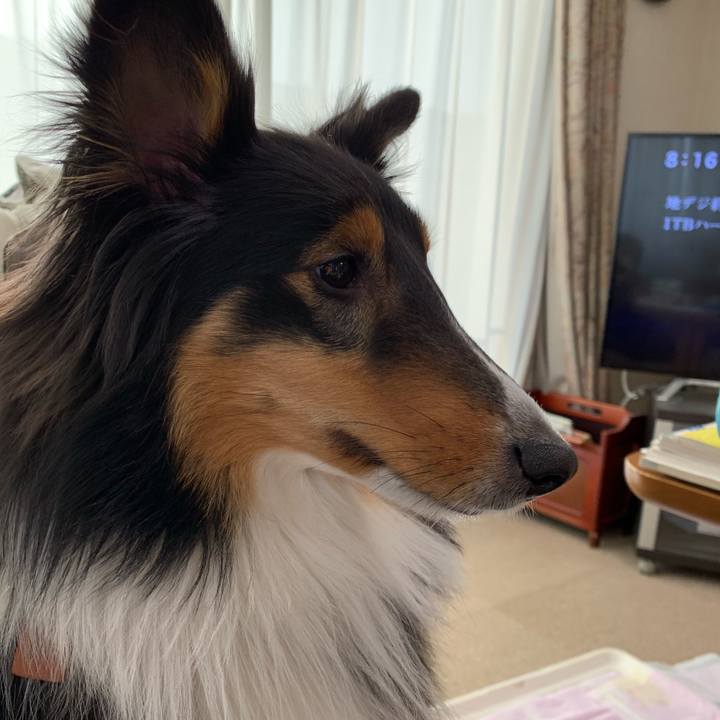 578f5a21 d4ec 43fb ac5d f5a80dbb2ea8 1562796143313