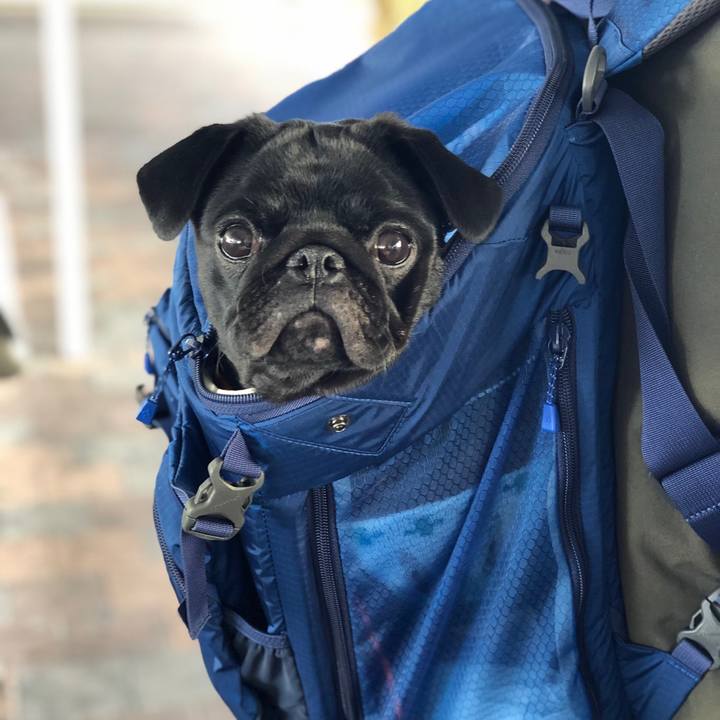 578f6714 b88c 4d3b a4e8 4693b01bb79b 1609560839180